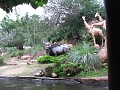 DSCF3459