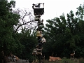 DSCF3463