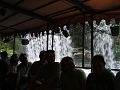 DSCF3468