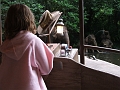 DSCF3471