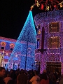 DSCF3589