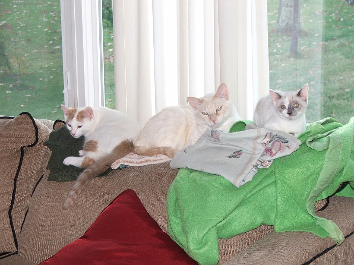 DSCF2888.JPG