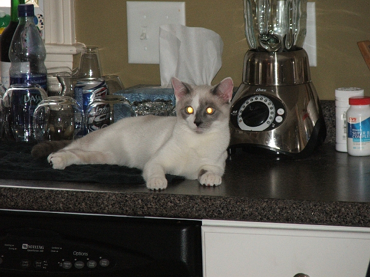 DSCF3731.JPG