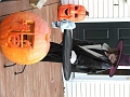 DSCF2890