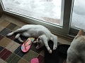 DSCF3701
