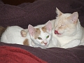 DSCF3718