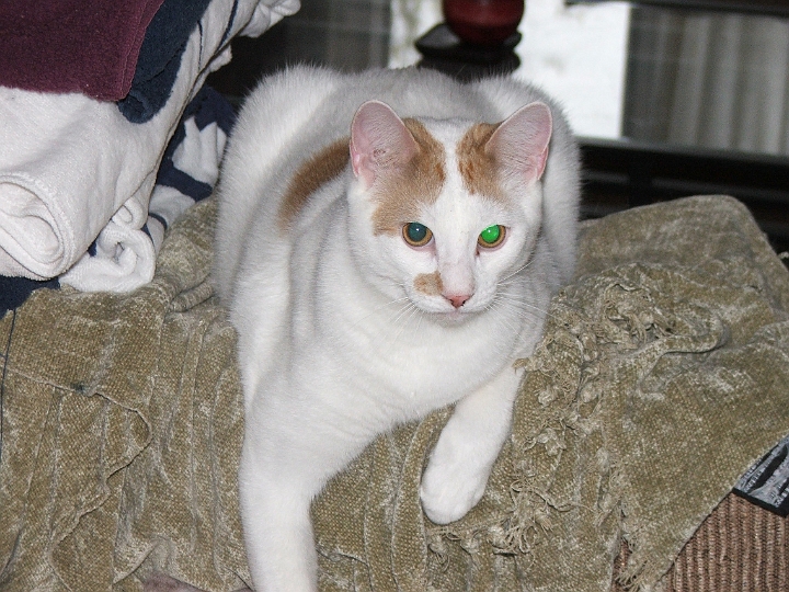 DSCF4276.jpg