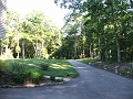 DSCF4353