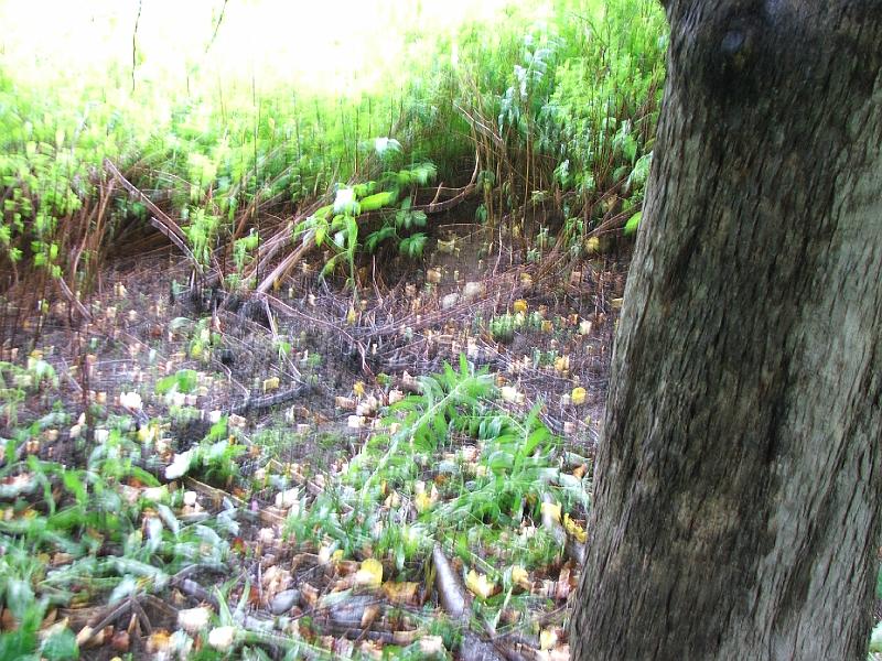 DSCF4464.JPG