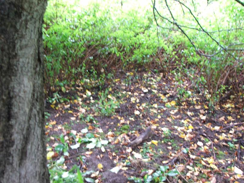 DSCF4465.JPG