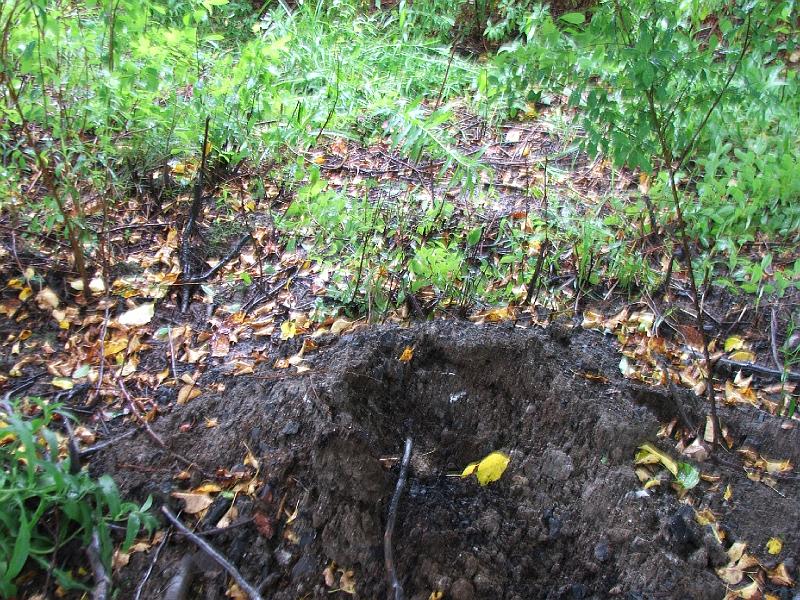 DSCF4466.JPG
