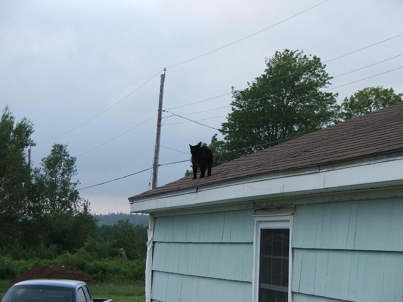 DSCF4486.JPG