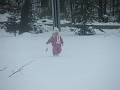 DSCF4004