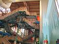 IMG_7368