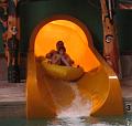 IMG_7381