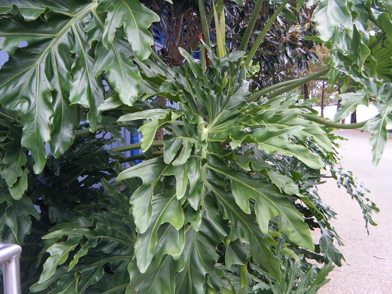 DSCF1355.JPG