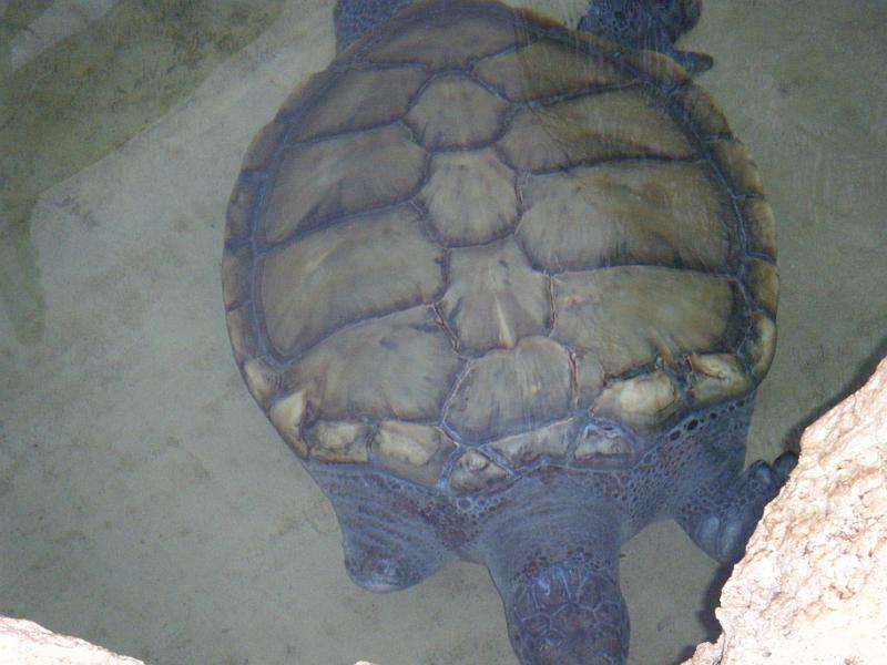 DSCF1390.JPG