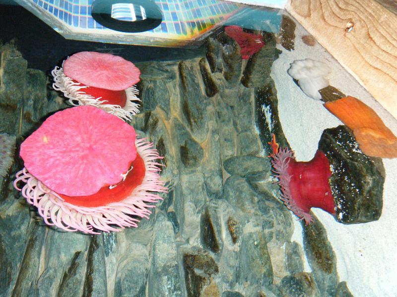 DSCF1435.JPG