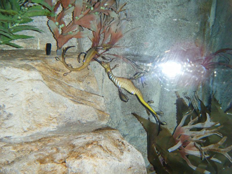 DSCF1441.JPG