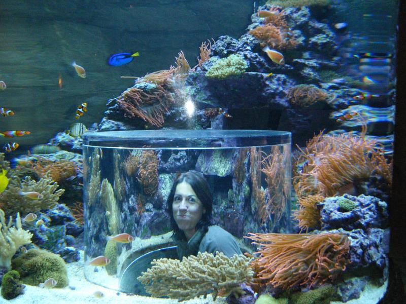 DSCF1444.JPG