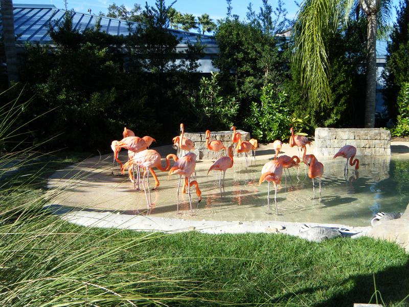 DSCF1446.JPG