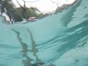 DSCF0831