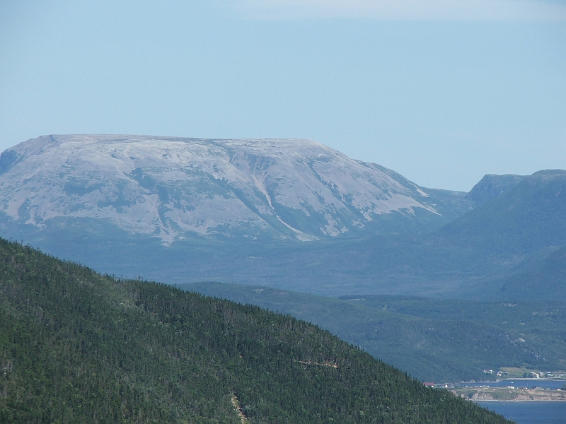DSCF8291.JPG