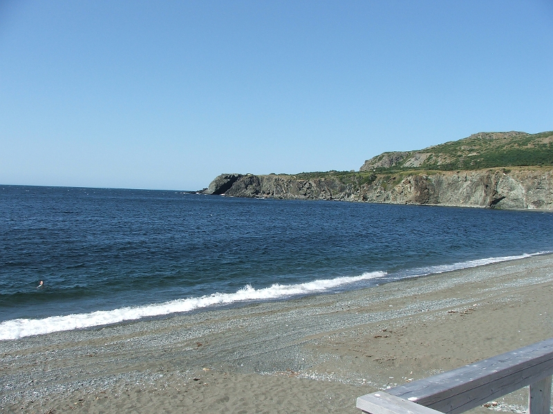 DSCF8339.JPG