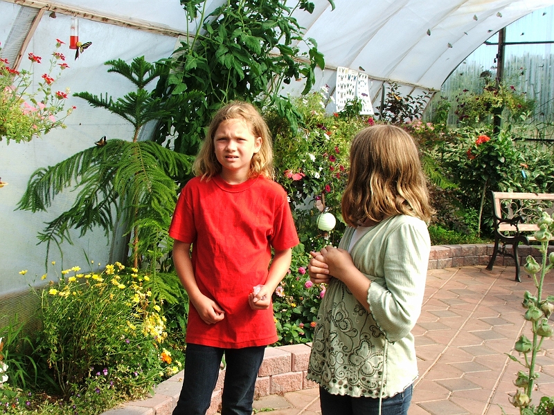 DSCF8388.JPG
