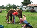 DSCF7177