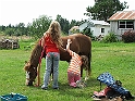 DSCF7178
