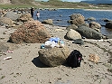DSCF8156
