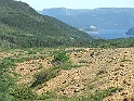 DSCF8262