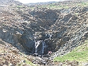 DSCF8306