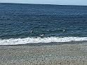 DSCF8340