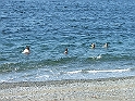 DSCF8342