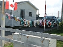 DSCF8352