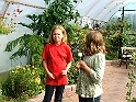 DSCF8388
