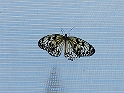 DSCF8405