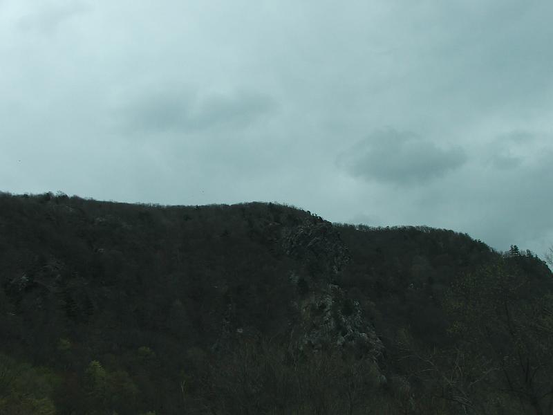 DSCF6542.JPG