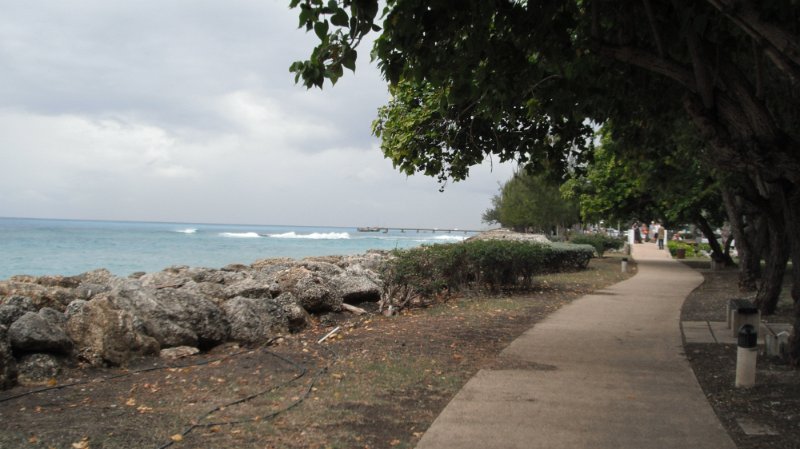DSCF0621.JPG