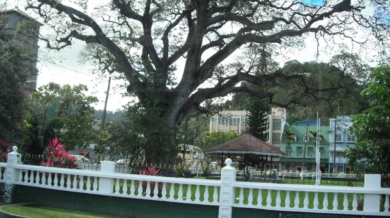 DSCF0667.JPG