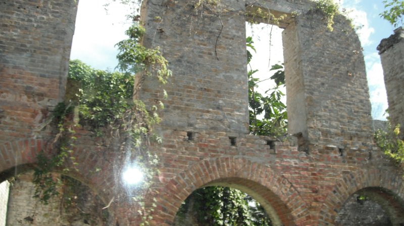 DSCF0682.JPG