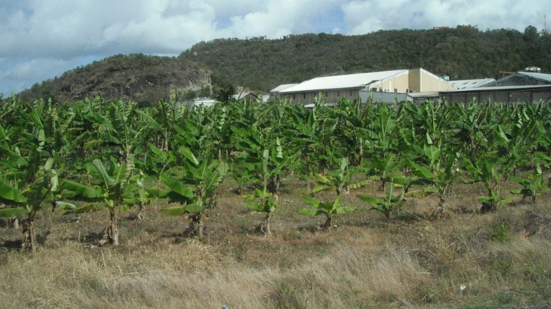 DSCF0702.JPG