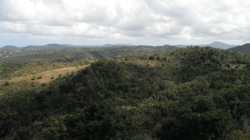 DSCF0711.JPG