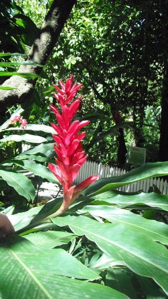 DSCF0734.JPG