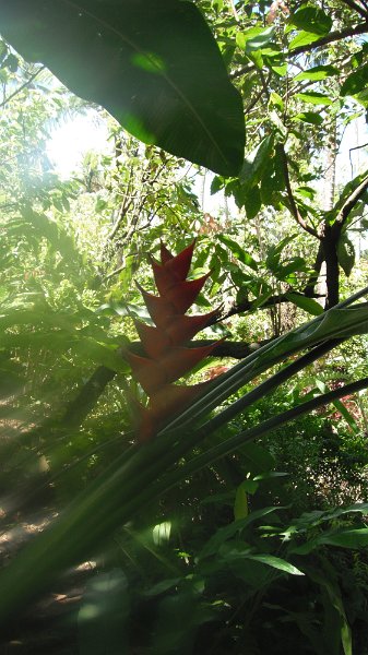 DSCF0735.JPG
