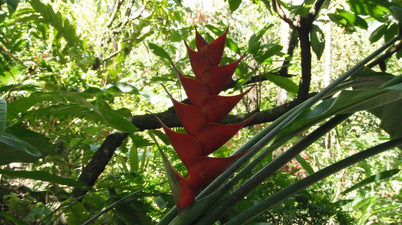 DSCF0737.JPG