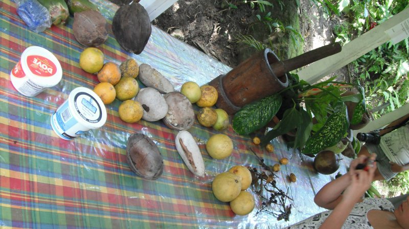 DSCF0738.JPG