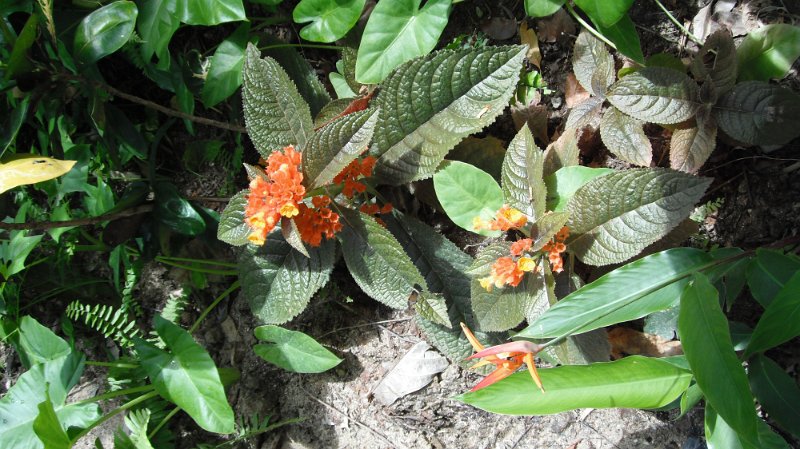 DSCF0743.JPG